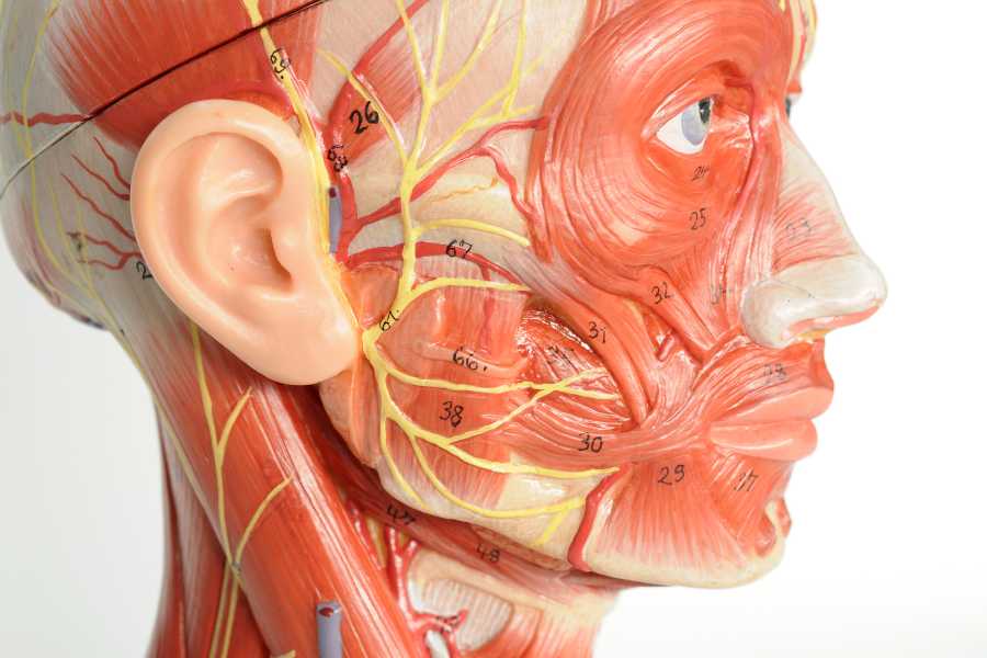 Hemifacial Spasm (Kejang Separuh Wajah): Gejala & Pengobatan