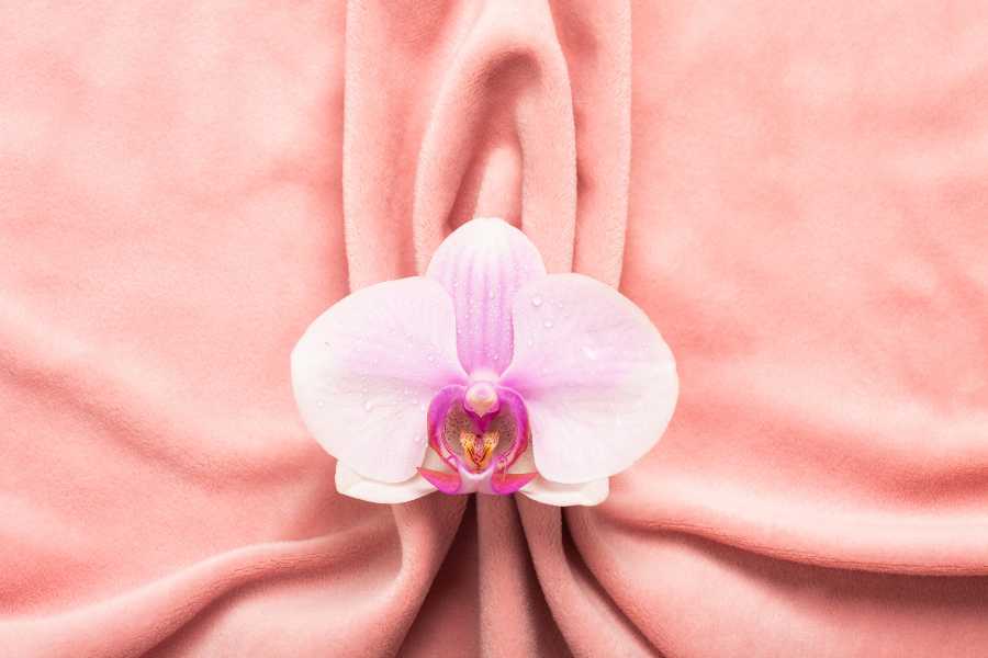 Apa itu Vaginoplasty?