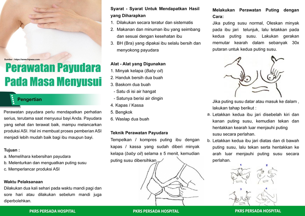 Perawatan Payudara Pada Masa Menyusui