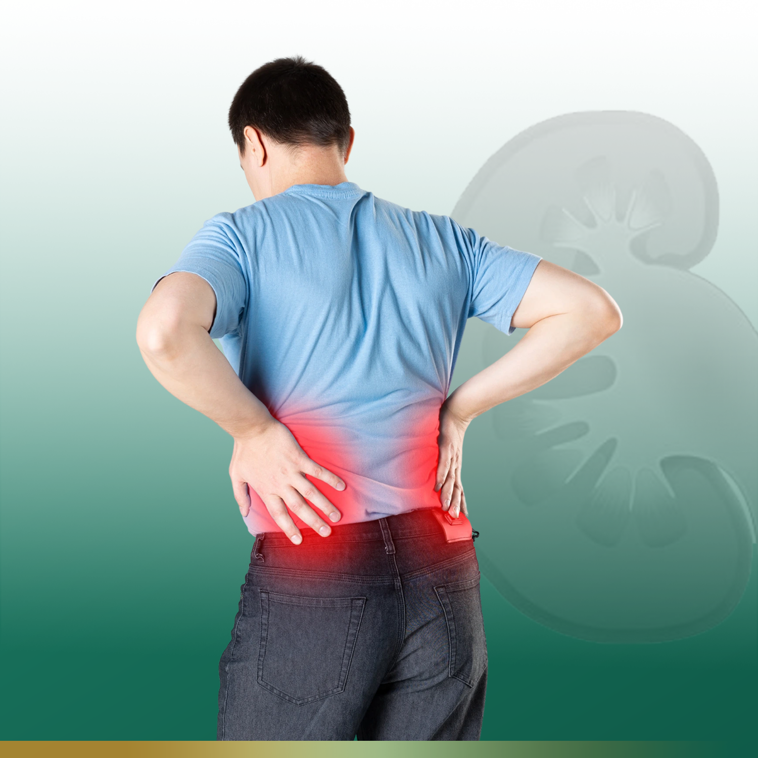 Kidney Protect program